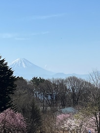Mt. Fuji view from the hotel