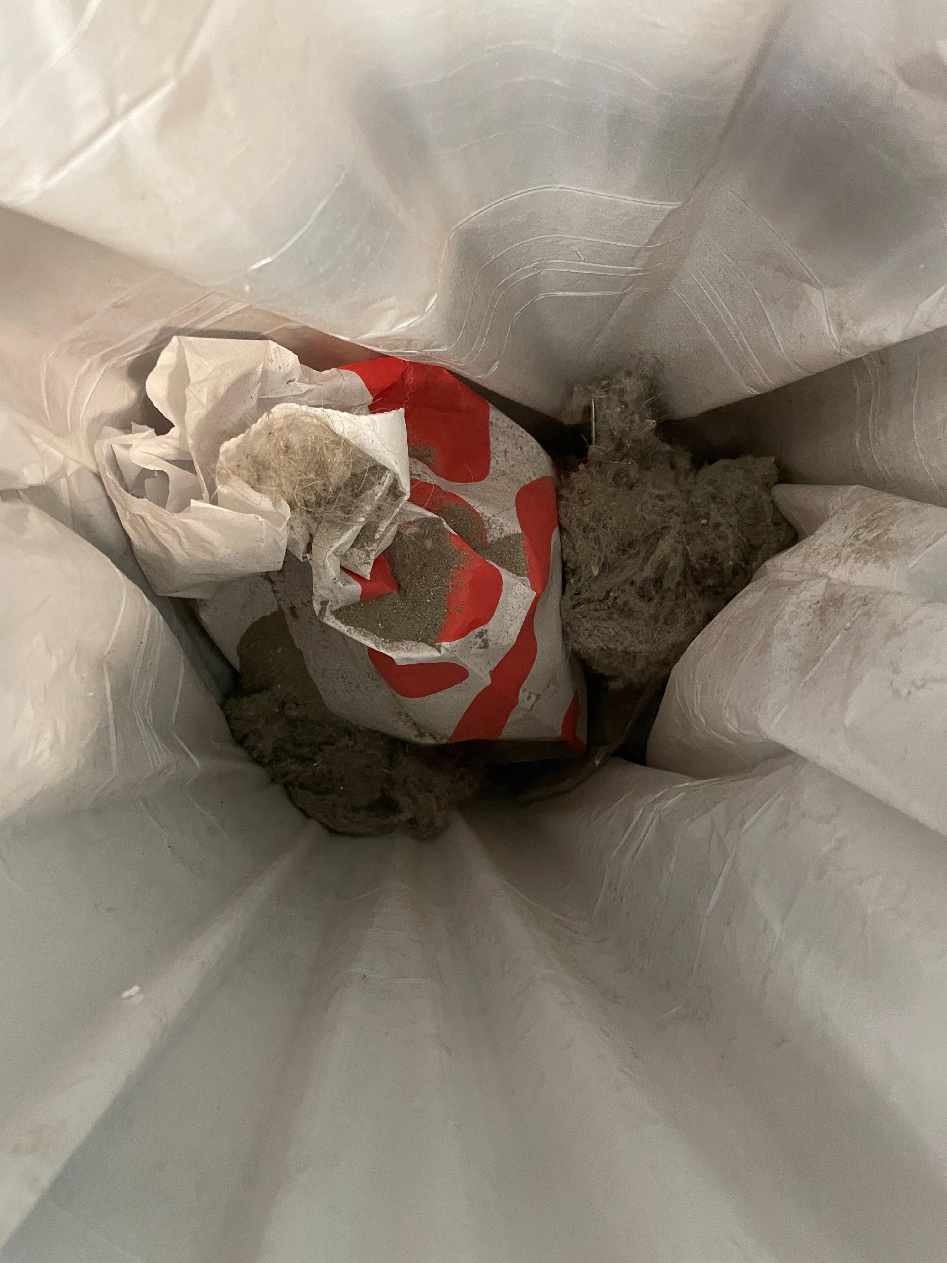 Vacuum debris