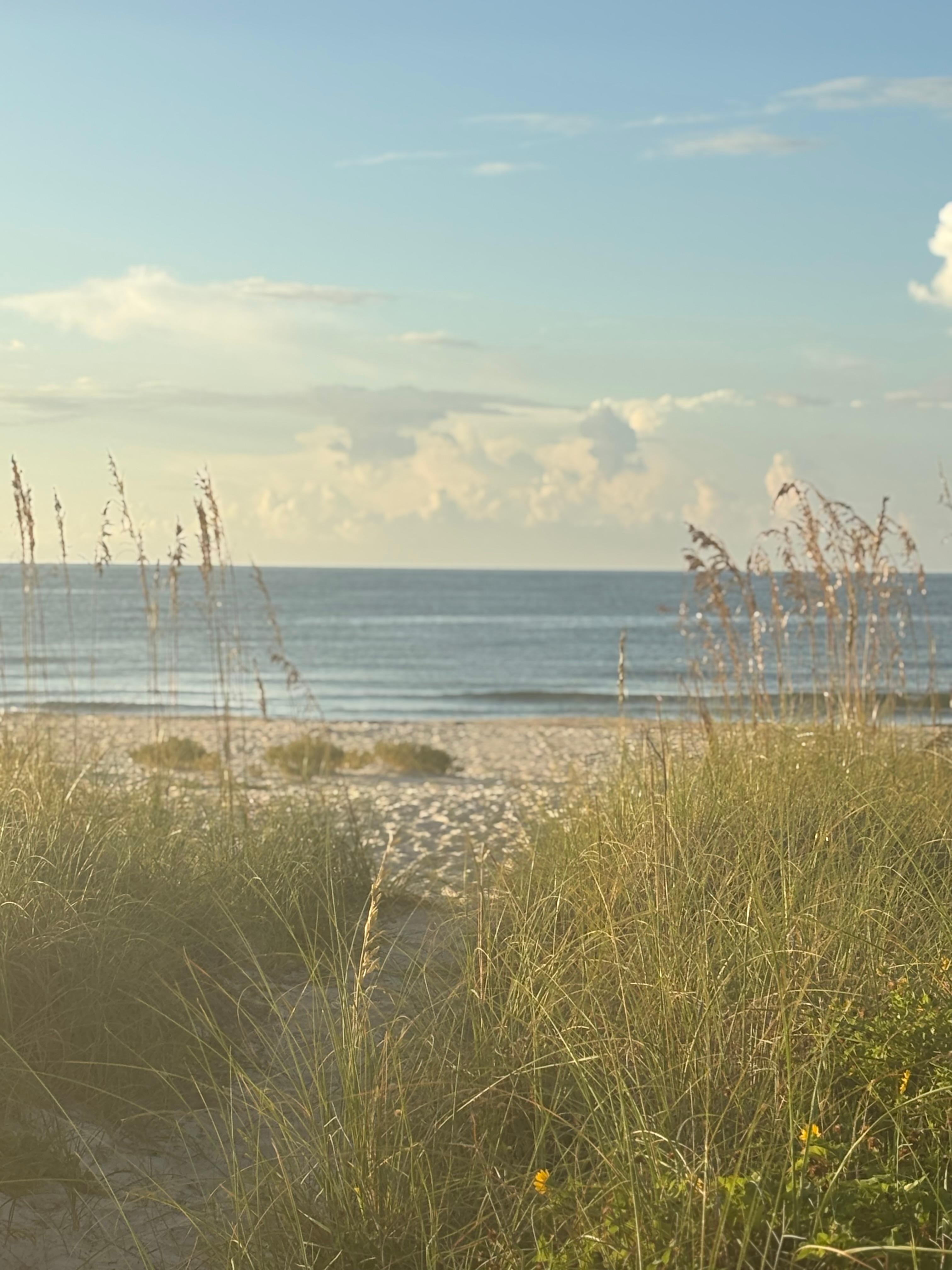 Morning coffee at the Gazebo 