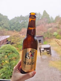 啤酒🍺