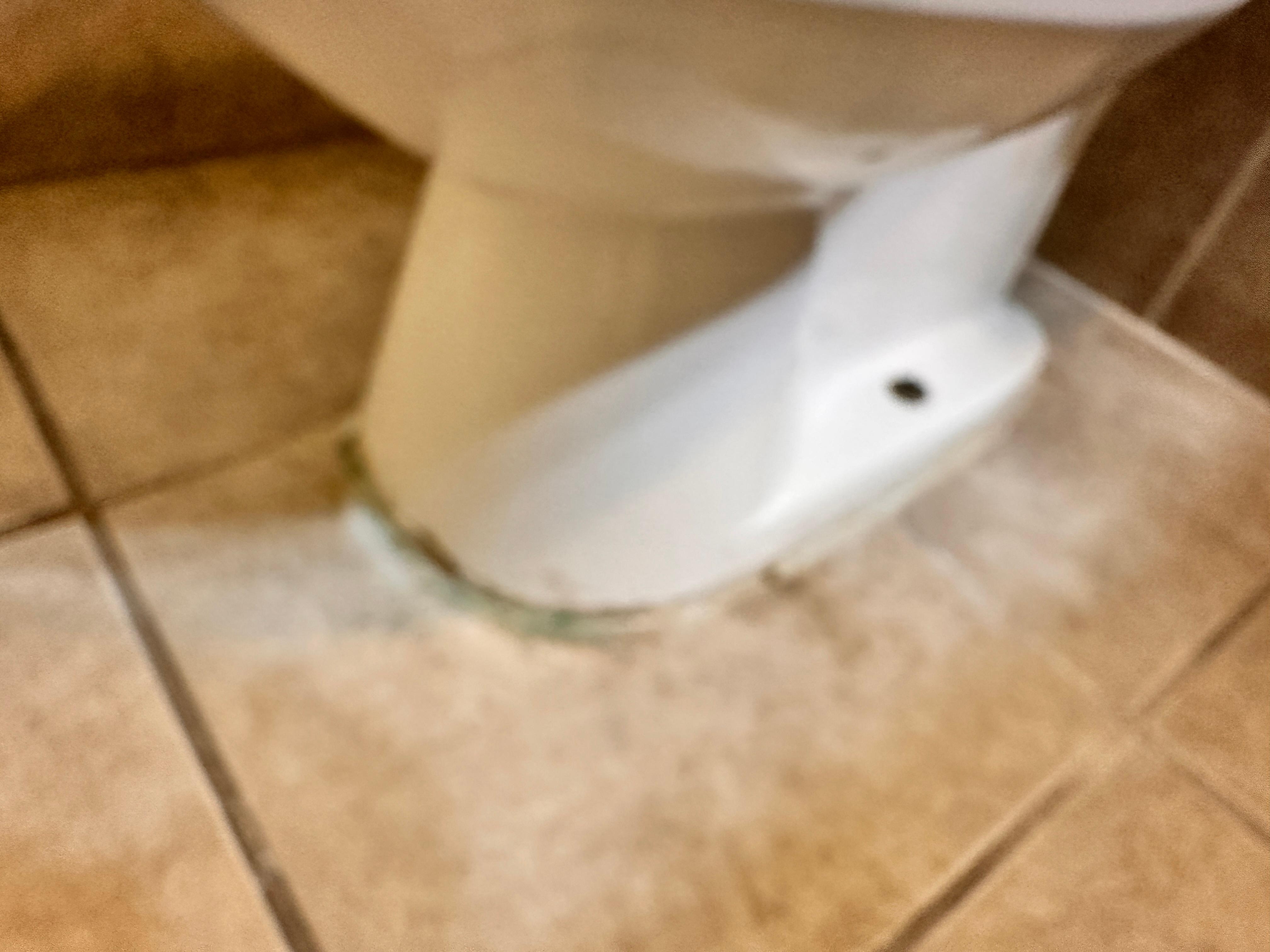 Bathroom toilet was leaking around the base. 