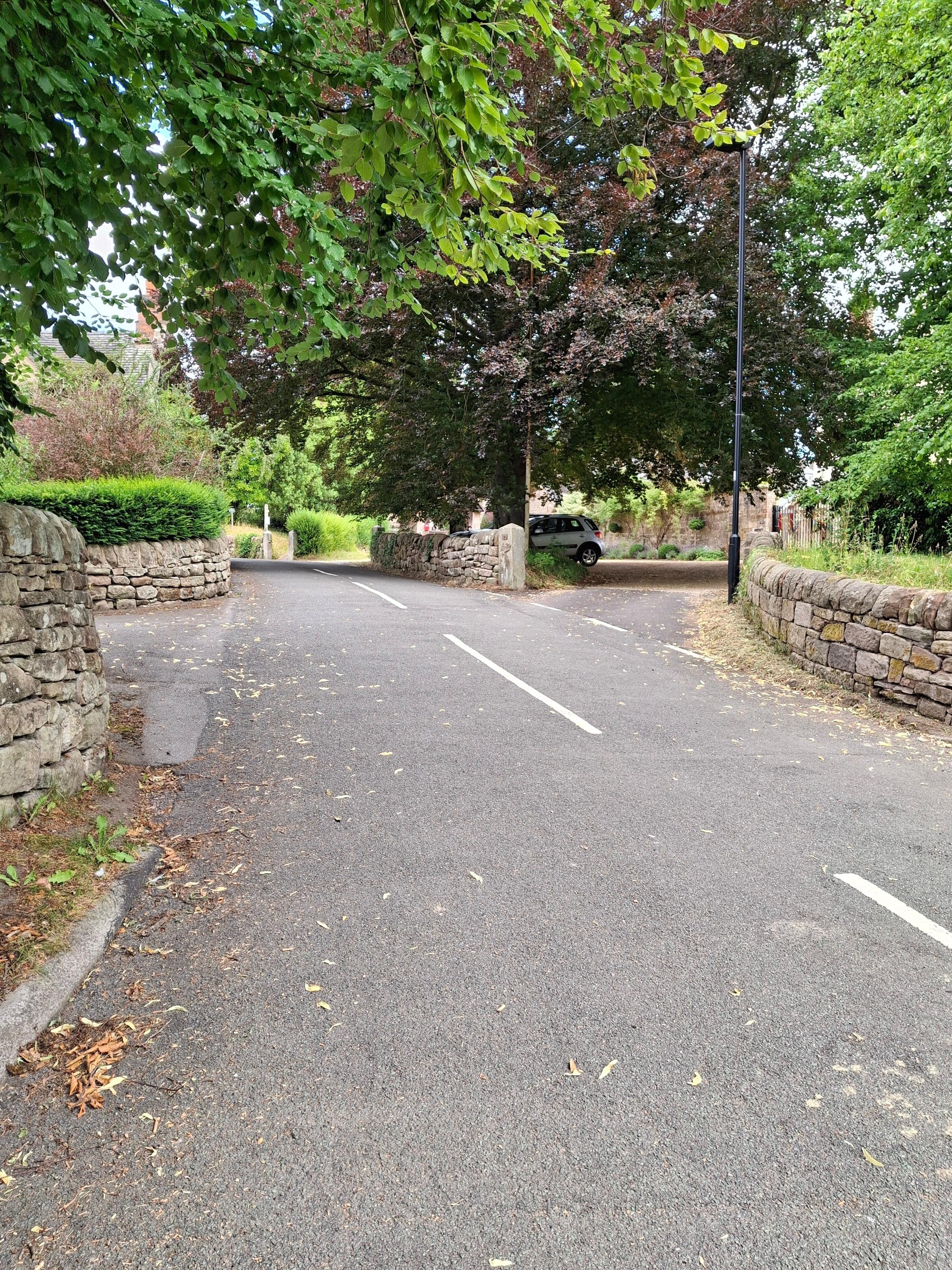 A view of the lane leading up to the cottage 