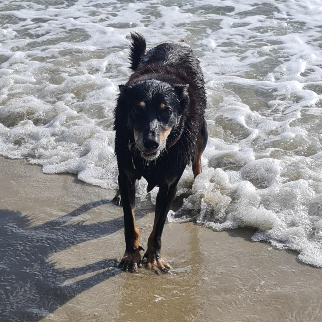 beach time for the kids. 
