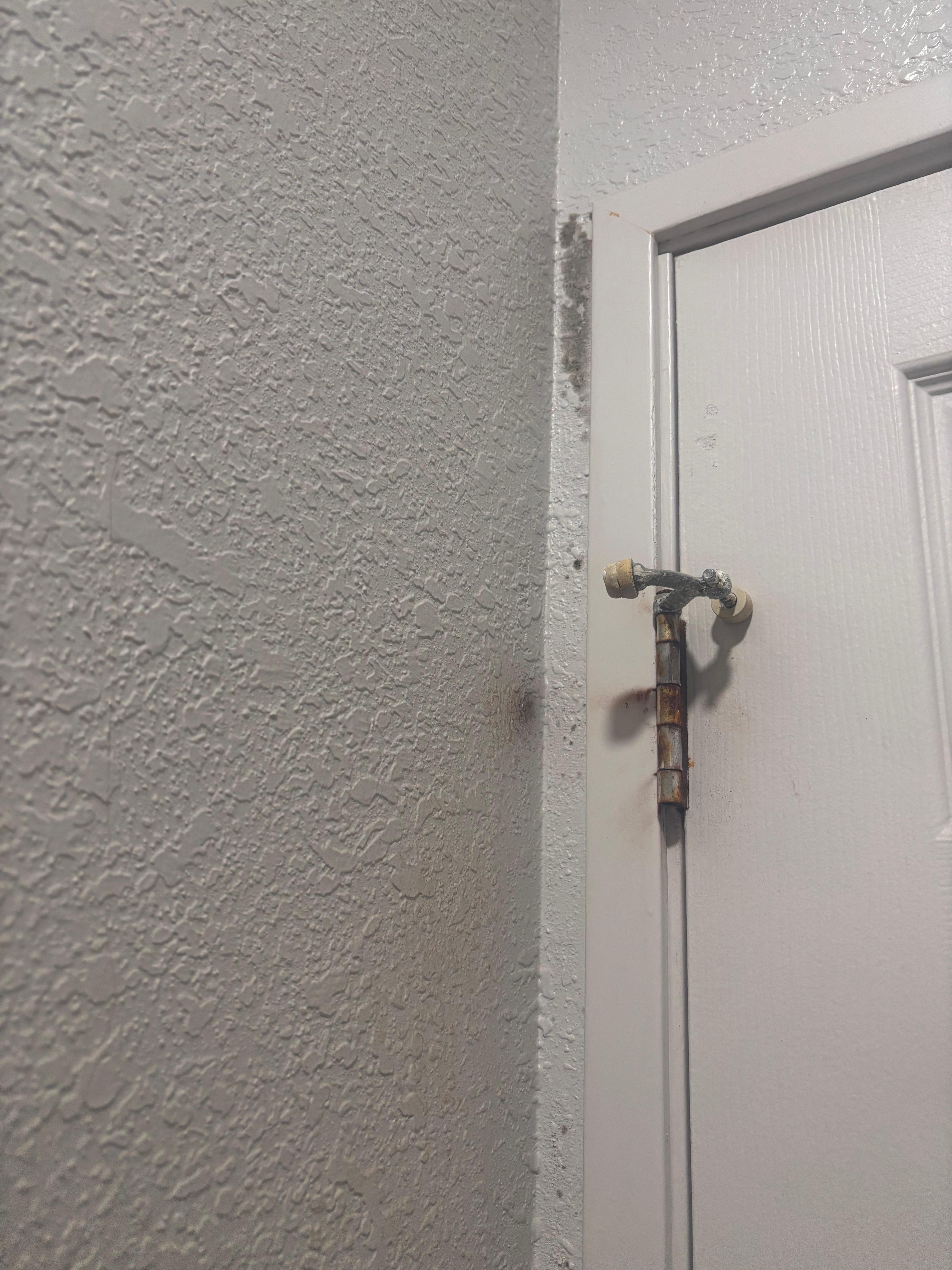  Moho y la bisagra vieja y sin aceite 