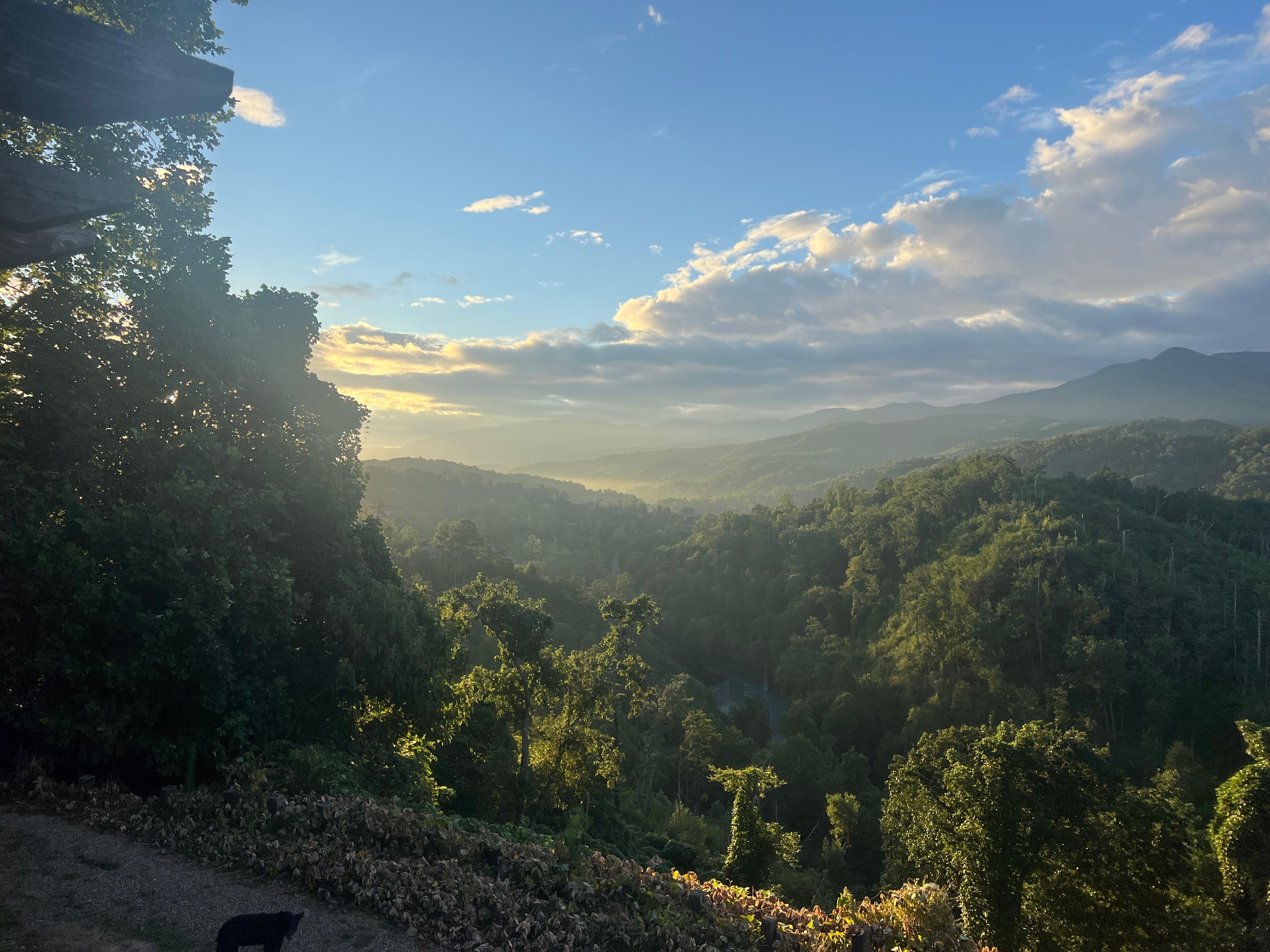 Incredible sunrise views.