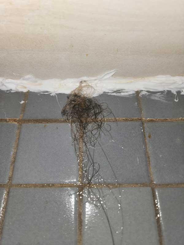 The shower was not clean. This was a clump of hair in the shower at the Holiday Inn Express Hotel and Suites in Fort Stockton TX. 