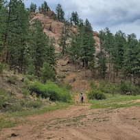Zuki checking out Jim & Cindy's property.