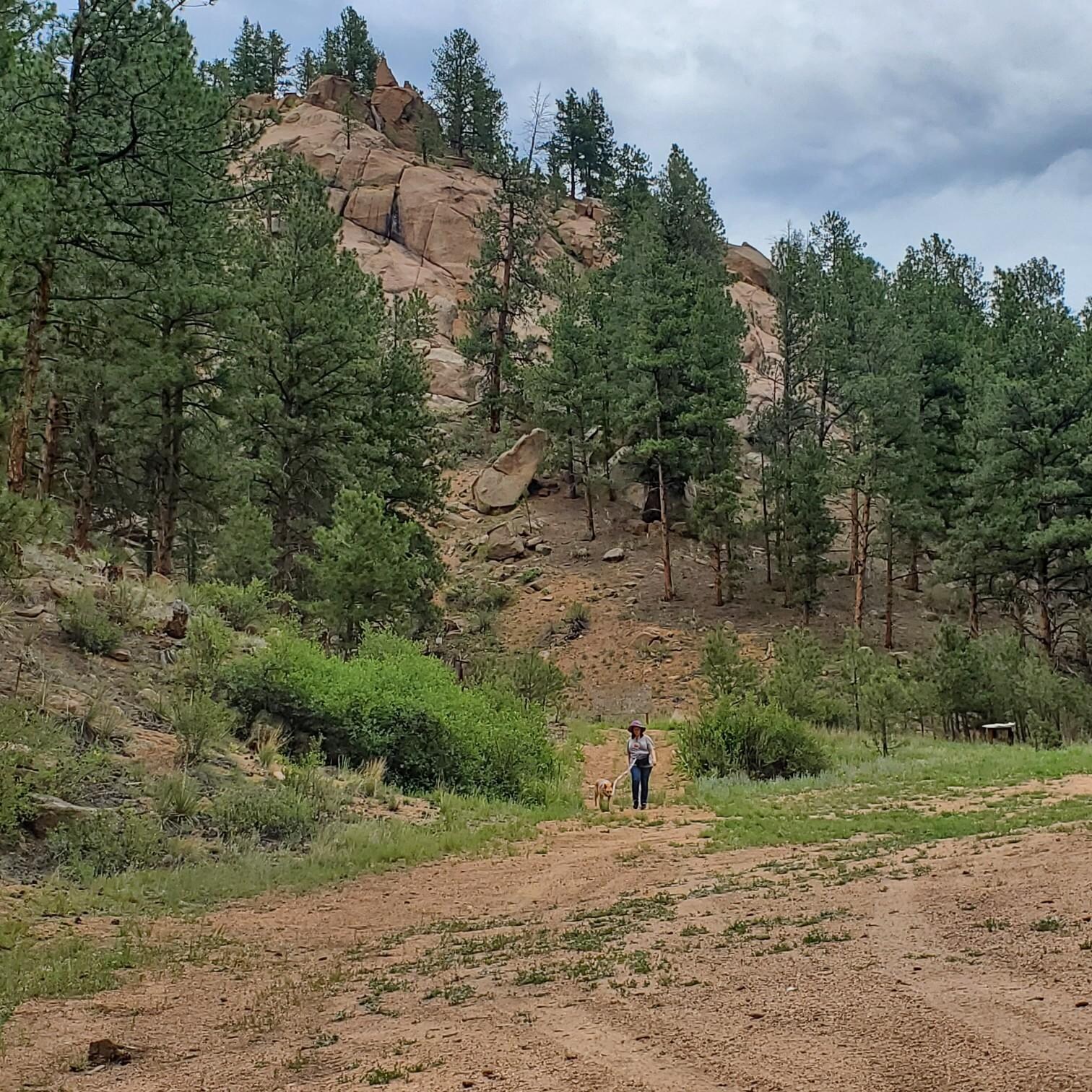 Zuki checking out Jim & Cindy's property.