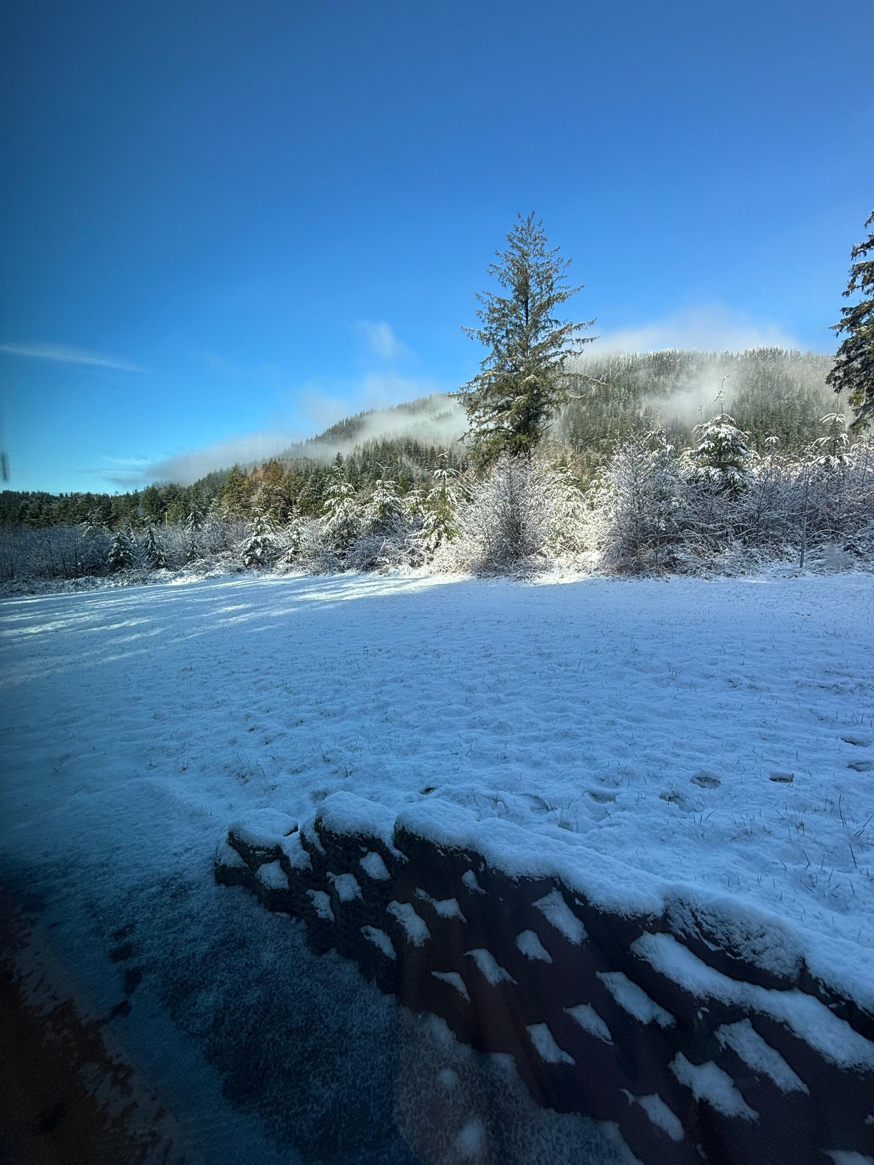 Outside view from kitchen at the rental property.