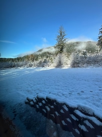 Outside view from kitchen at the rental property.
