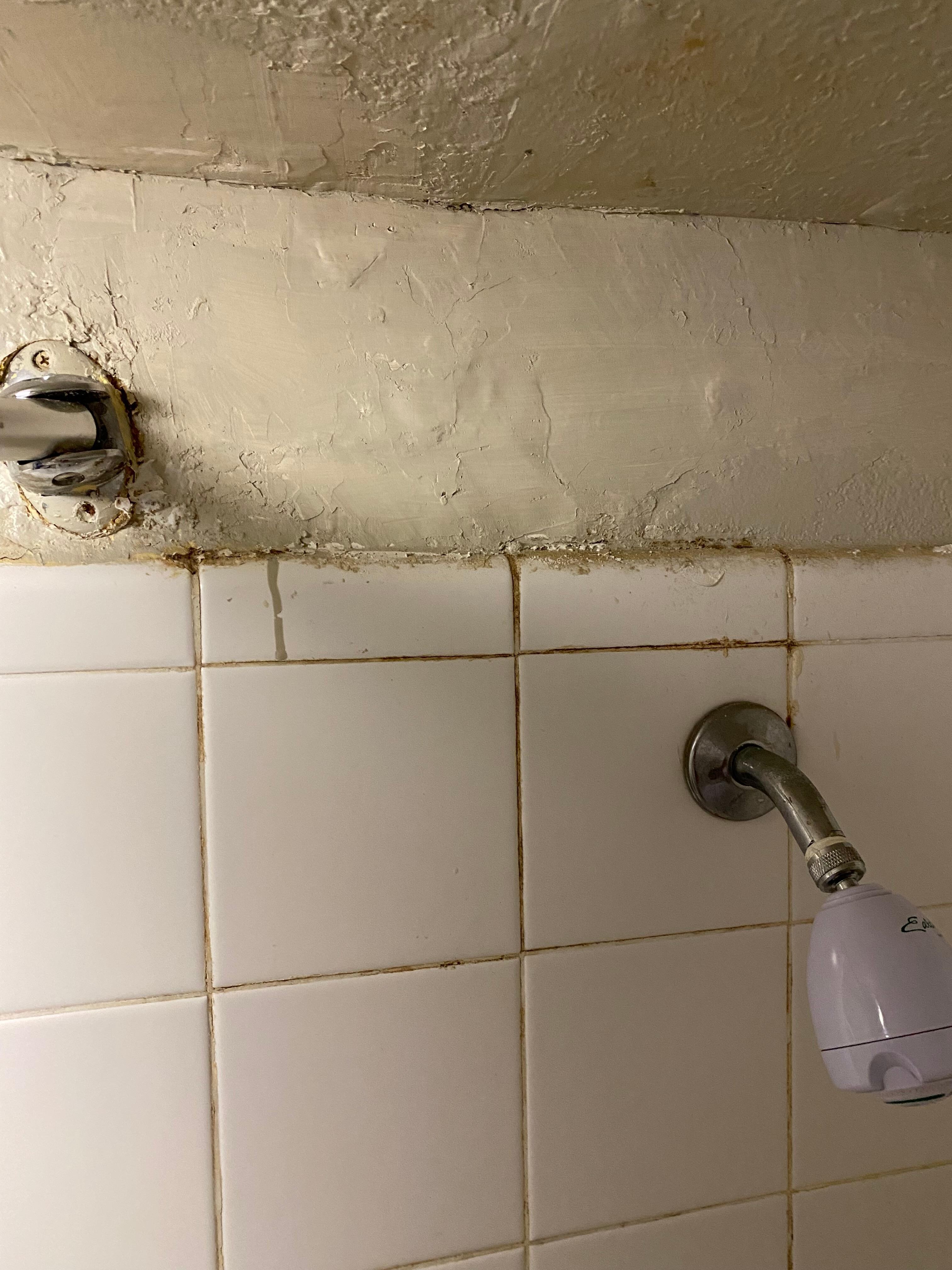 Rusty, broken fixtures and mold. 