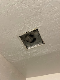 Broken and dusty vents