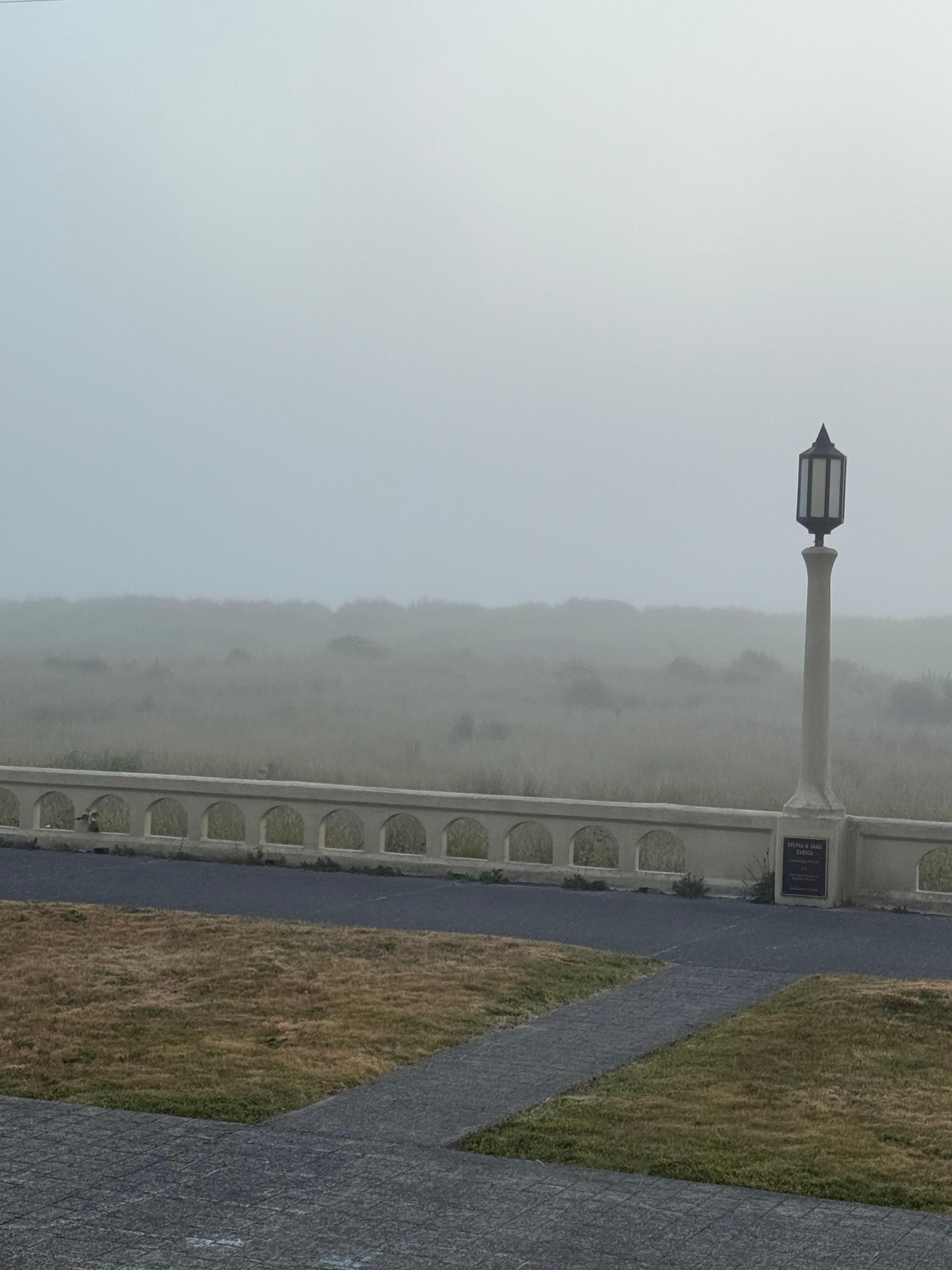 One day it was foggy. This is from front step. 