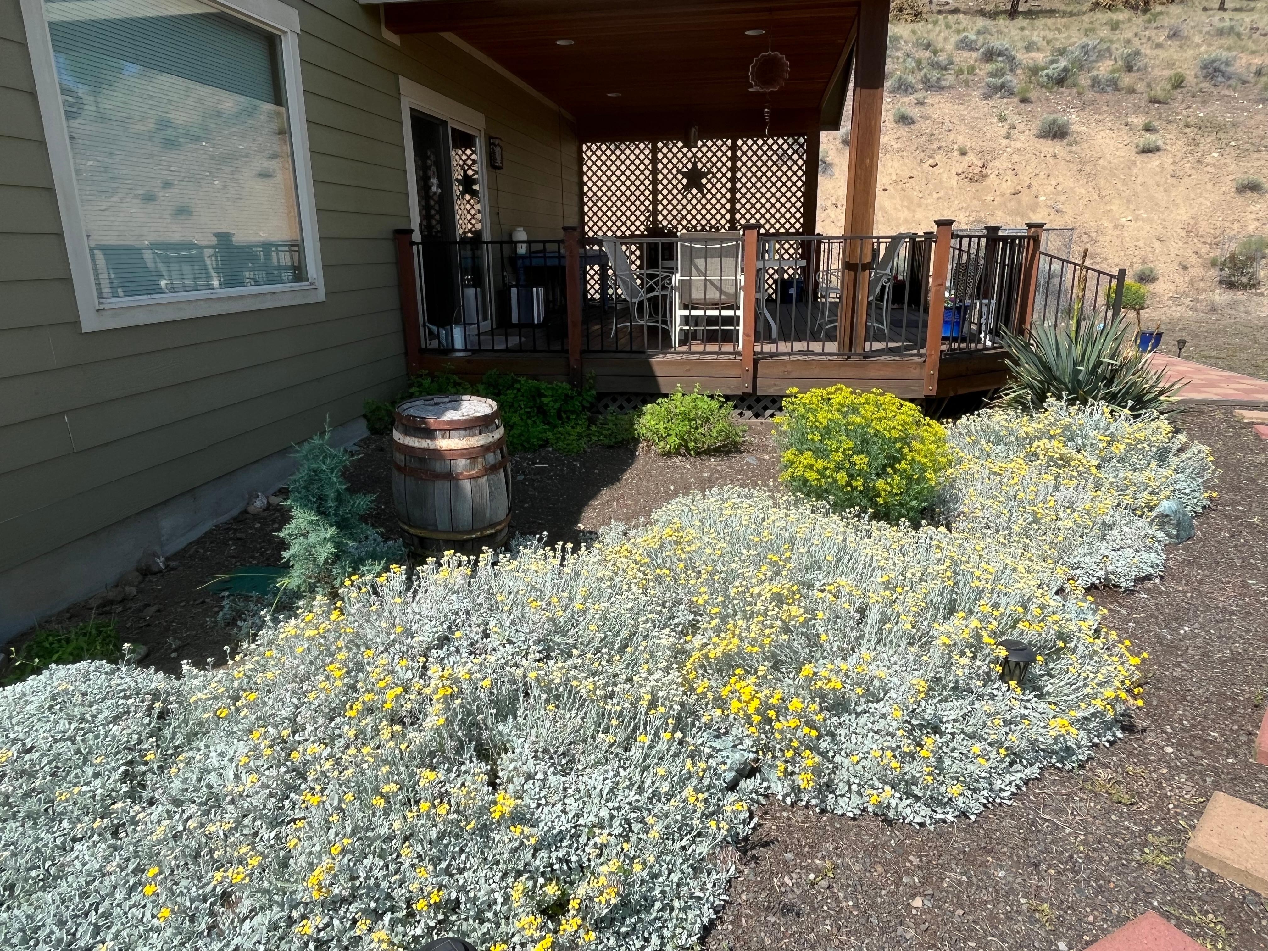 Nice touches throughout