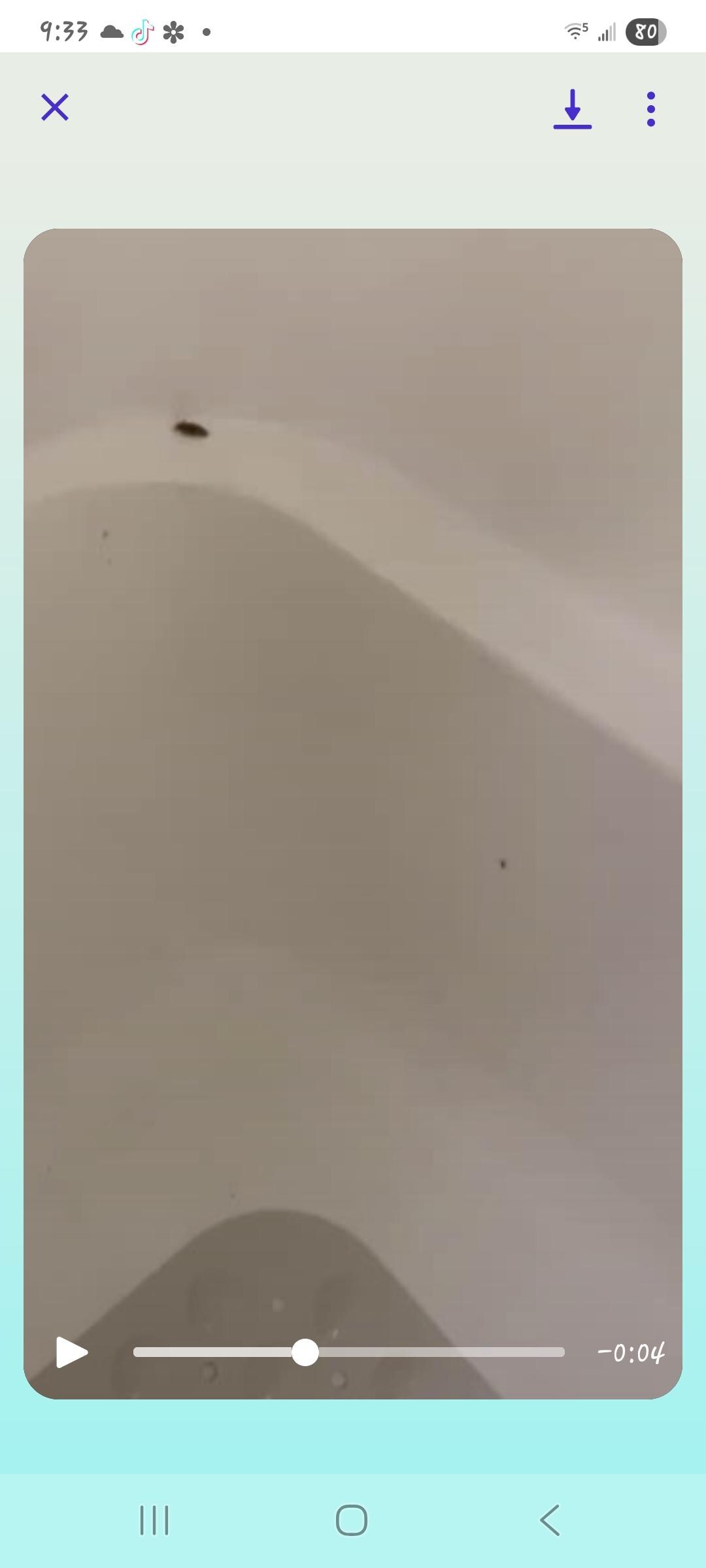 Roaches in tub
