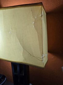 Broken lamp shade