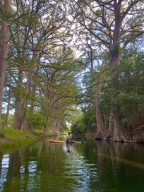 Private flowing river for paddle boarding and kayaking.