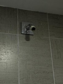 No shower head, impossible to shower with the pressure that comes out
