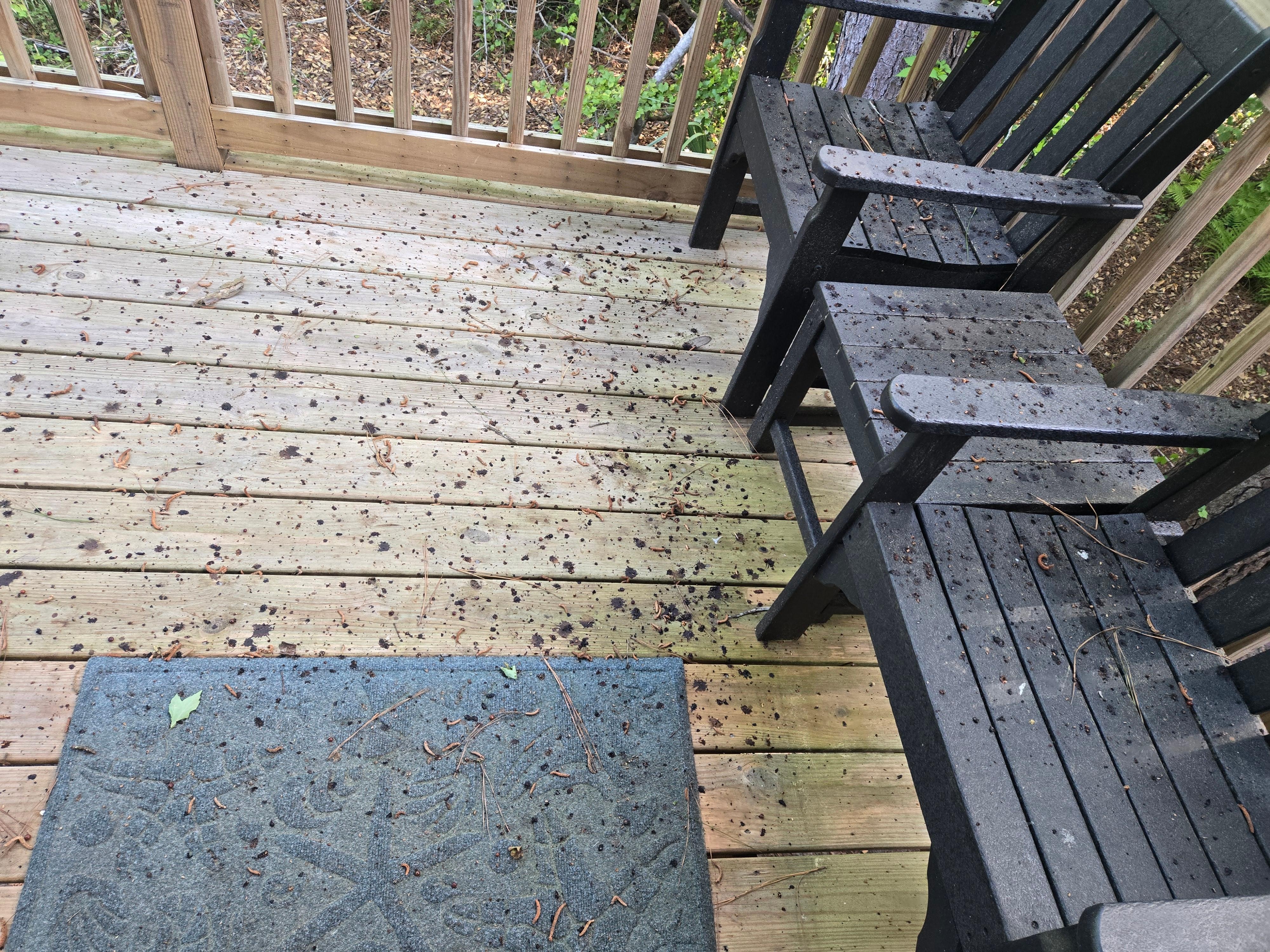 Back porch heading to pool