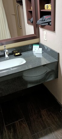 The bathroom was not large enough for 2 people to get ready at the same time. Fortunately for us, that wasn't a problem.