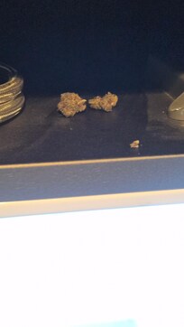 Weed we found on top of the fridge.