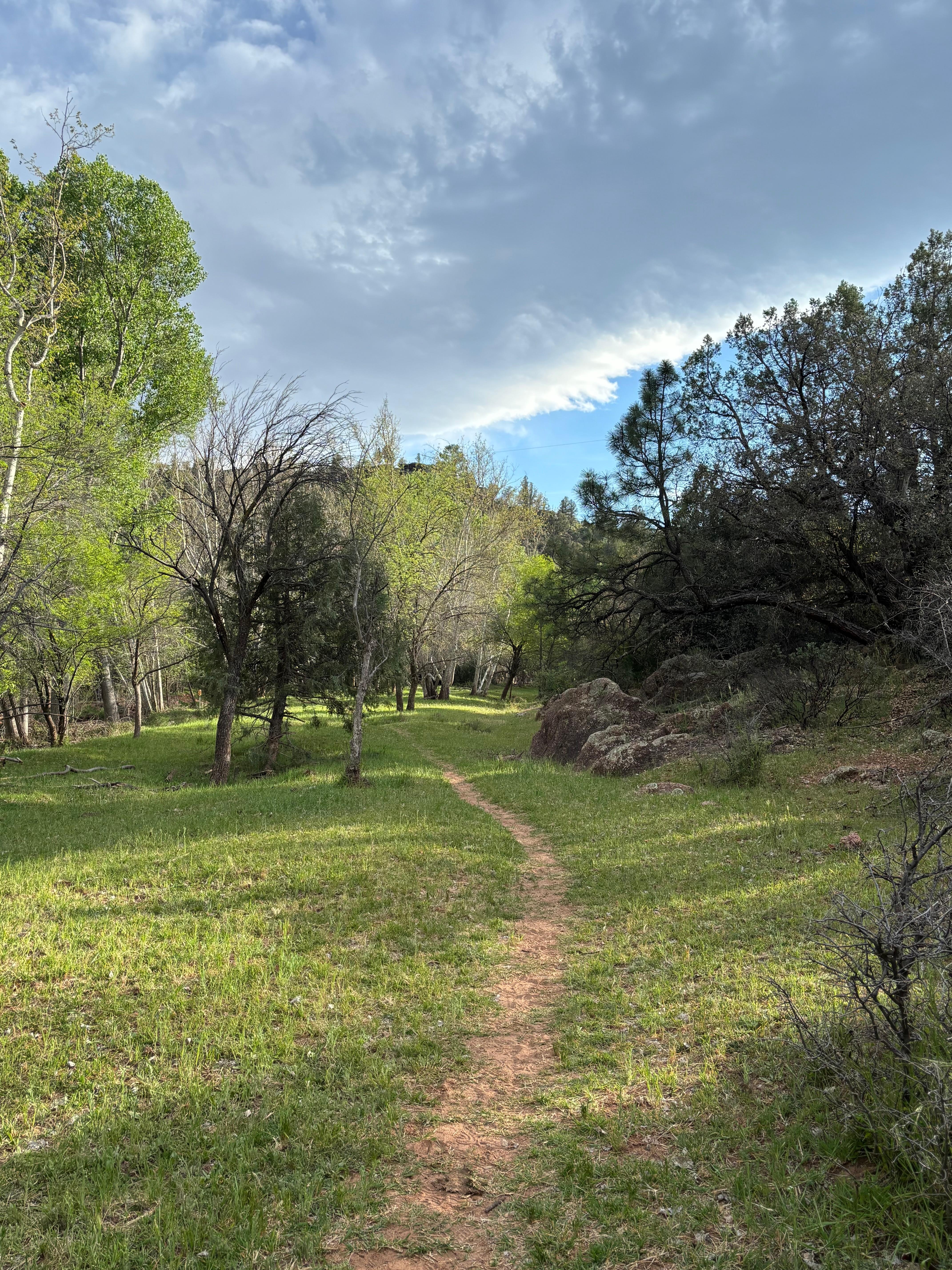 Hiking trail