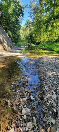 Upstream in creek