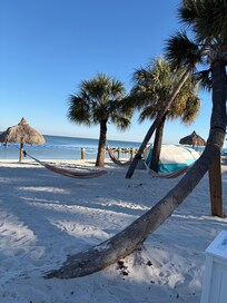 Hammocks and palms at the small on-site beach