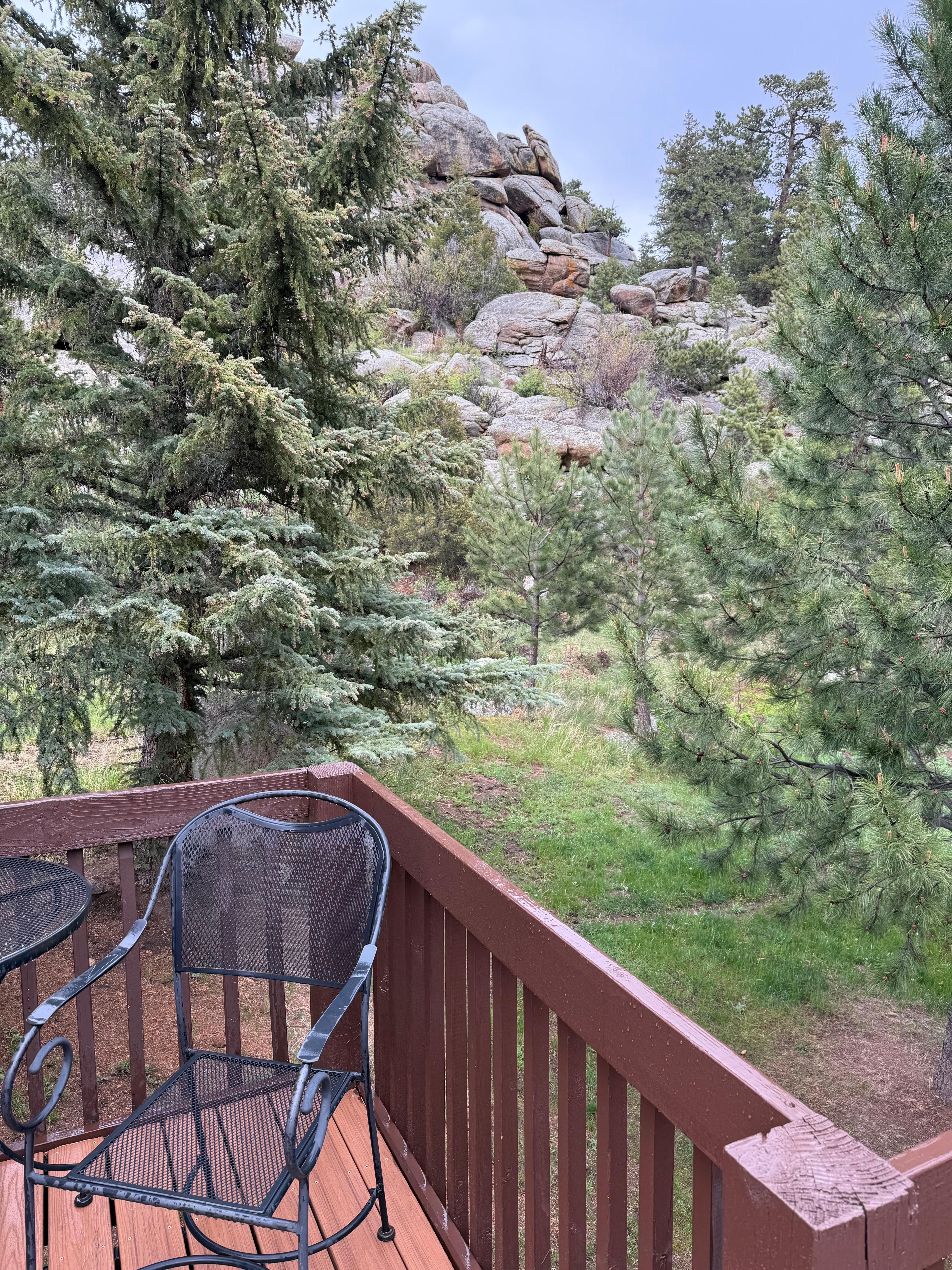 View from deck