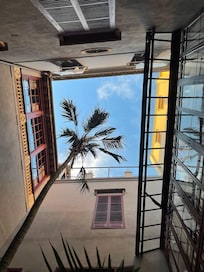 Picture of the inside looking at the sky