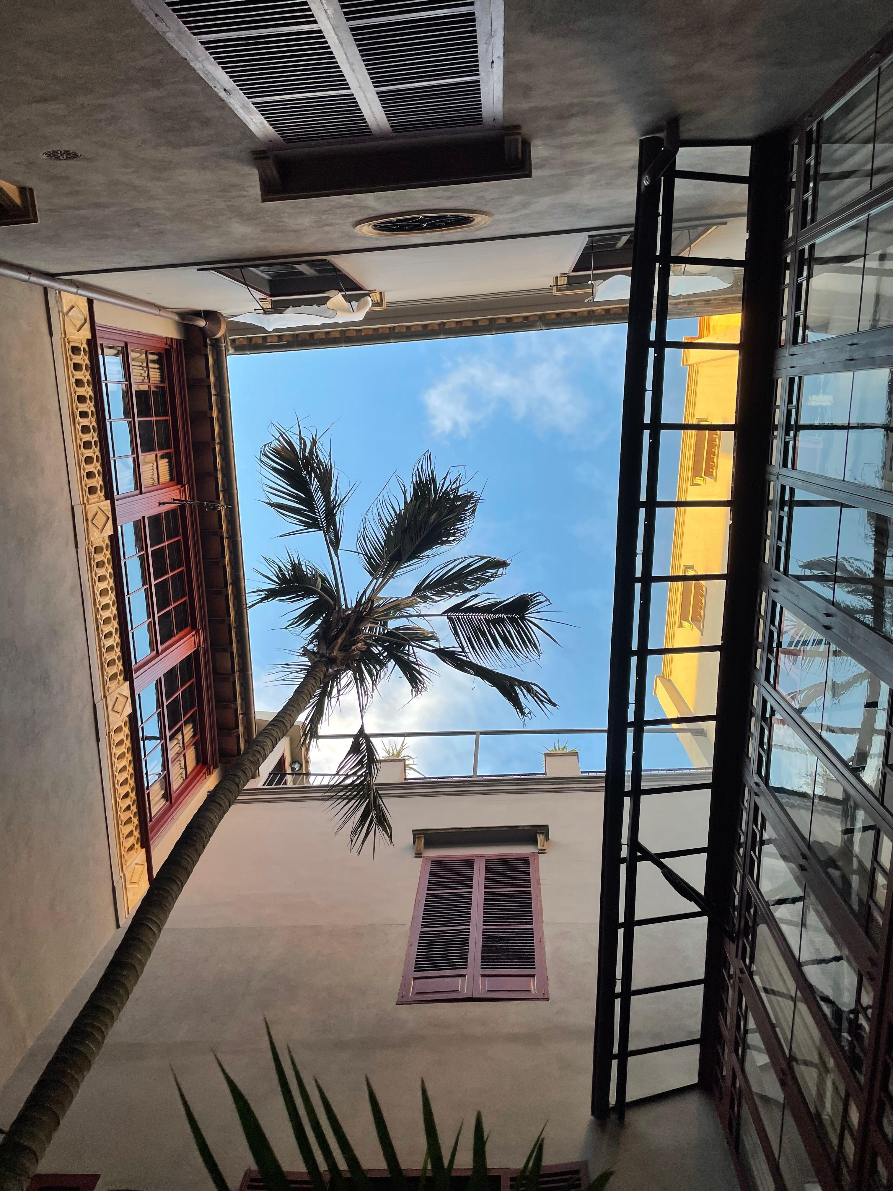Picture of the inside looking at the sky
