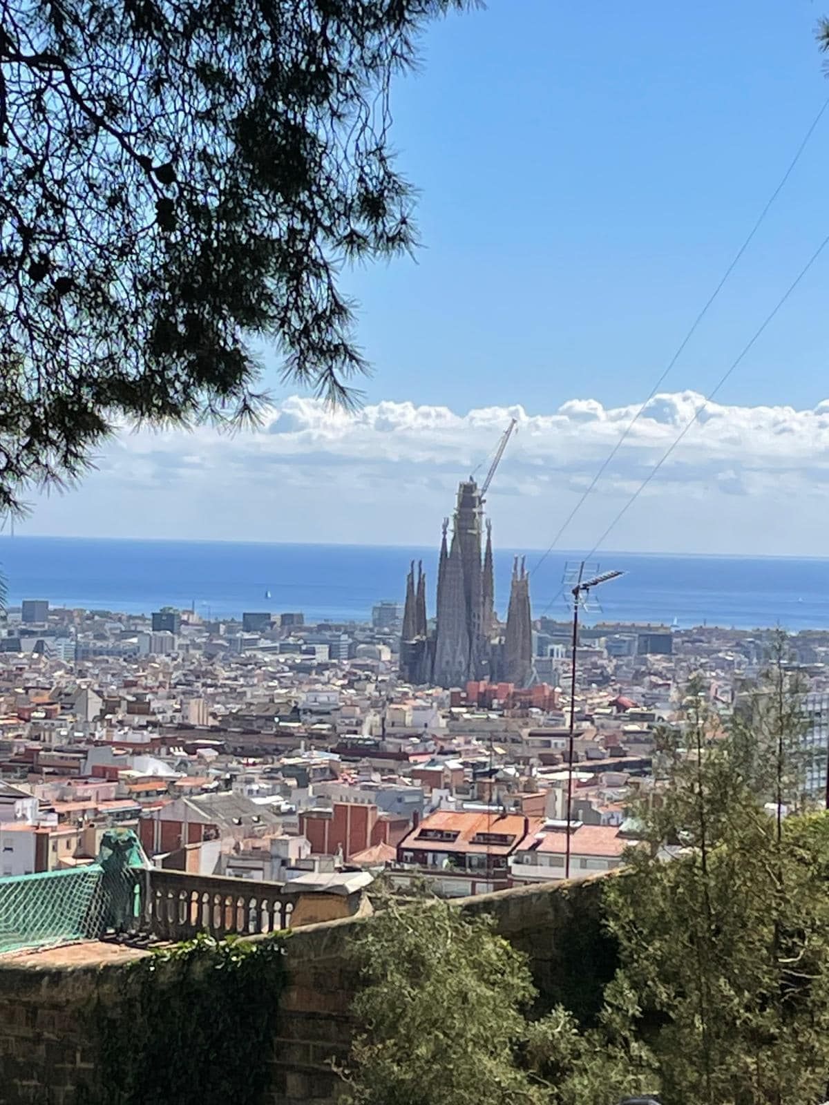 La Sagrada Familia rises majestically from the city
