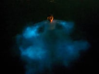 Bioluminescence Bay tours pick up from Kaibo pier