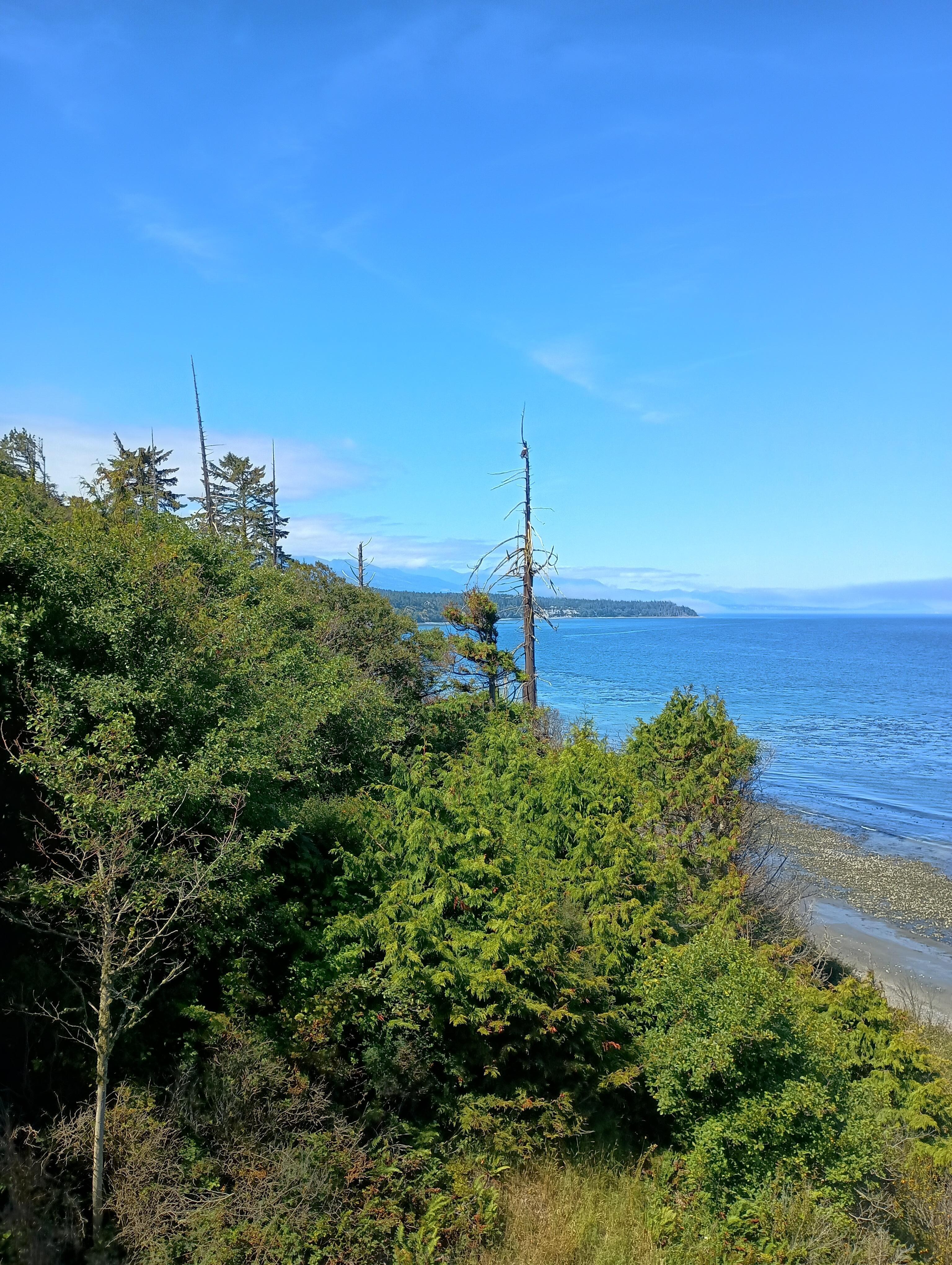 from the viewpoint