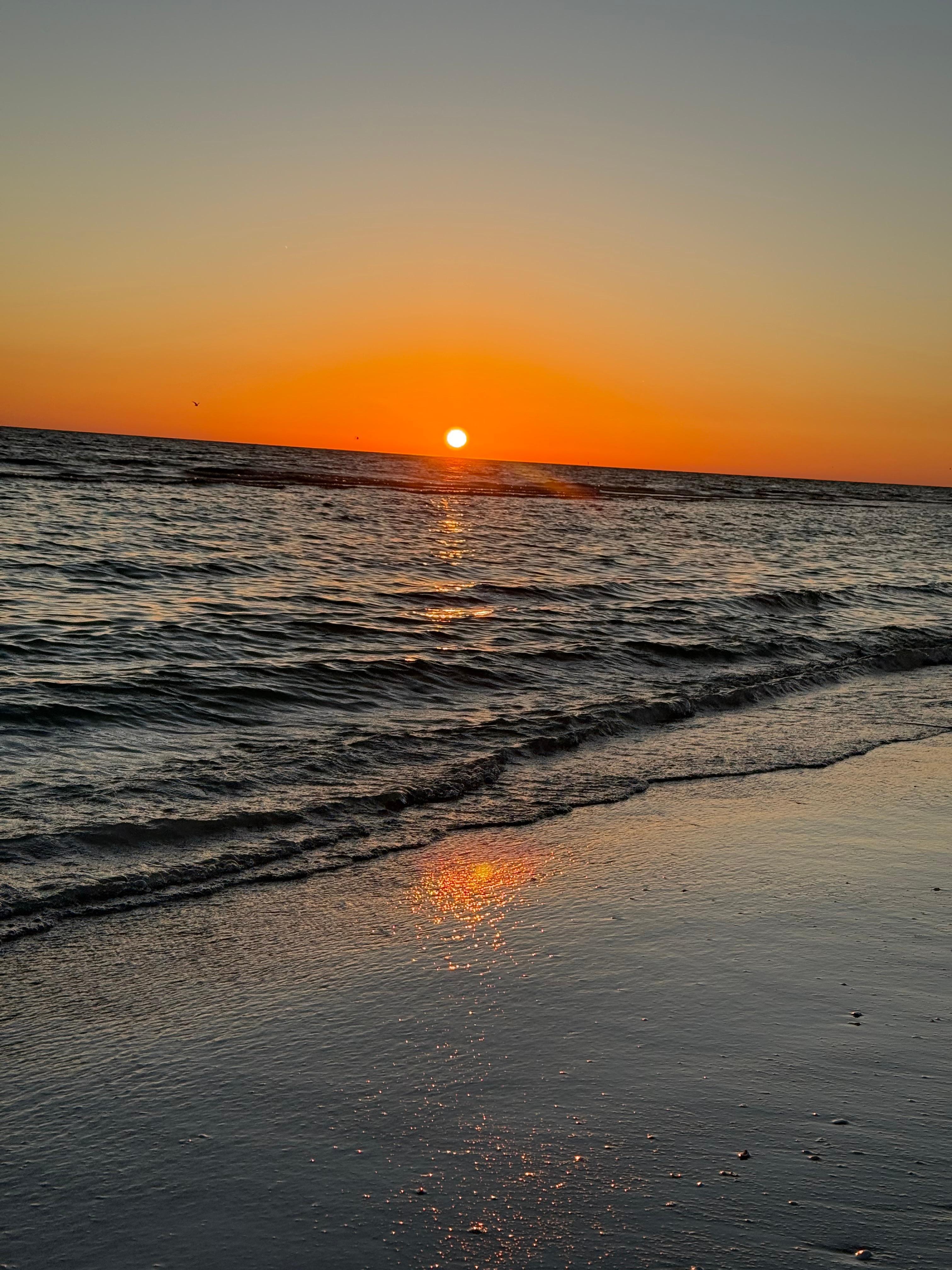 The beach is raked every morning and plenty of free chairs!