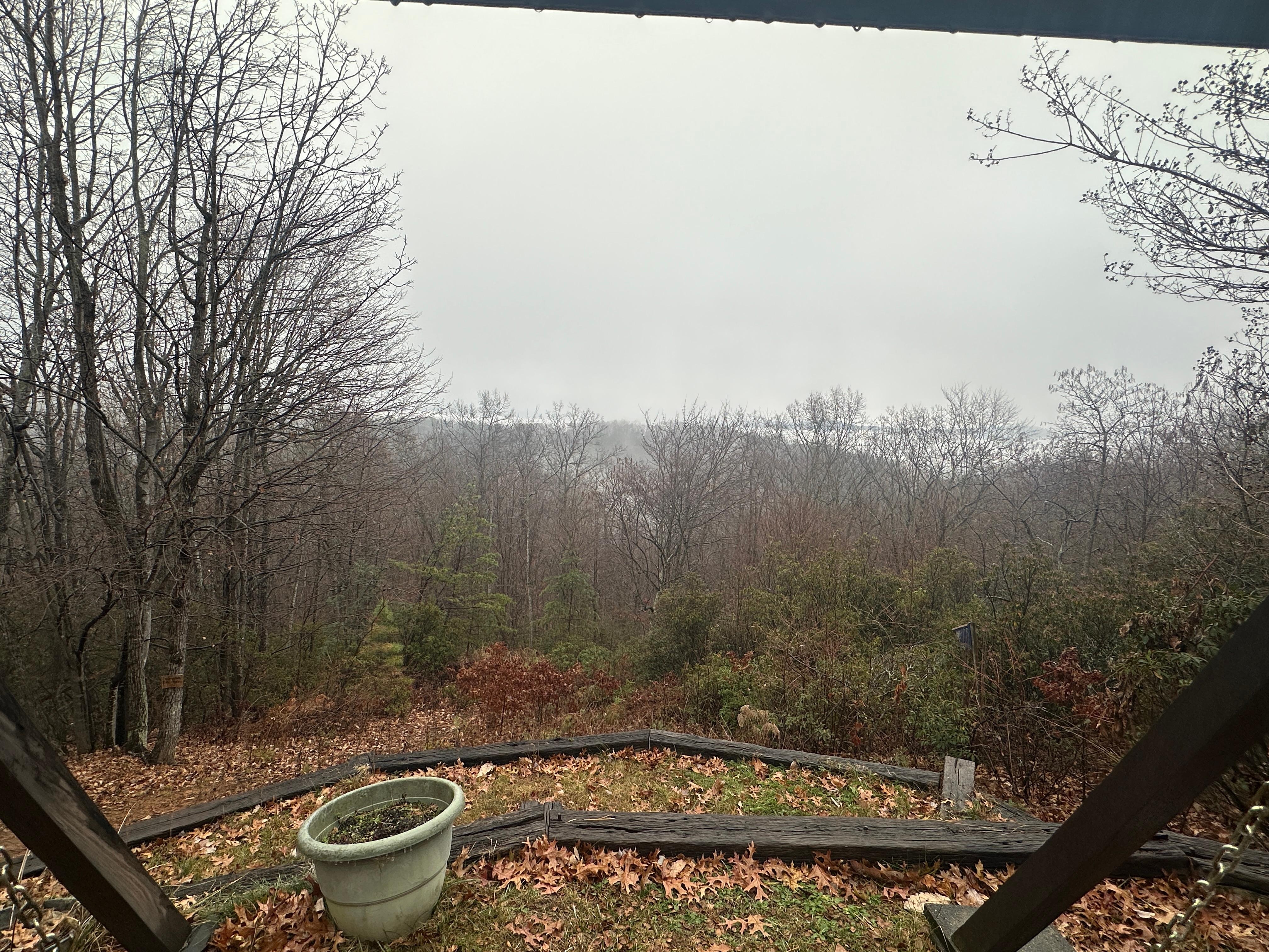 View from back of house