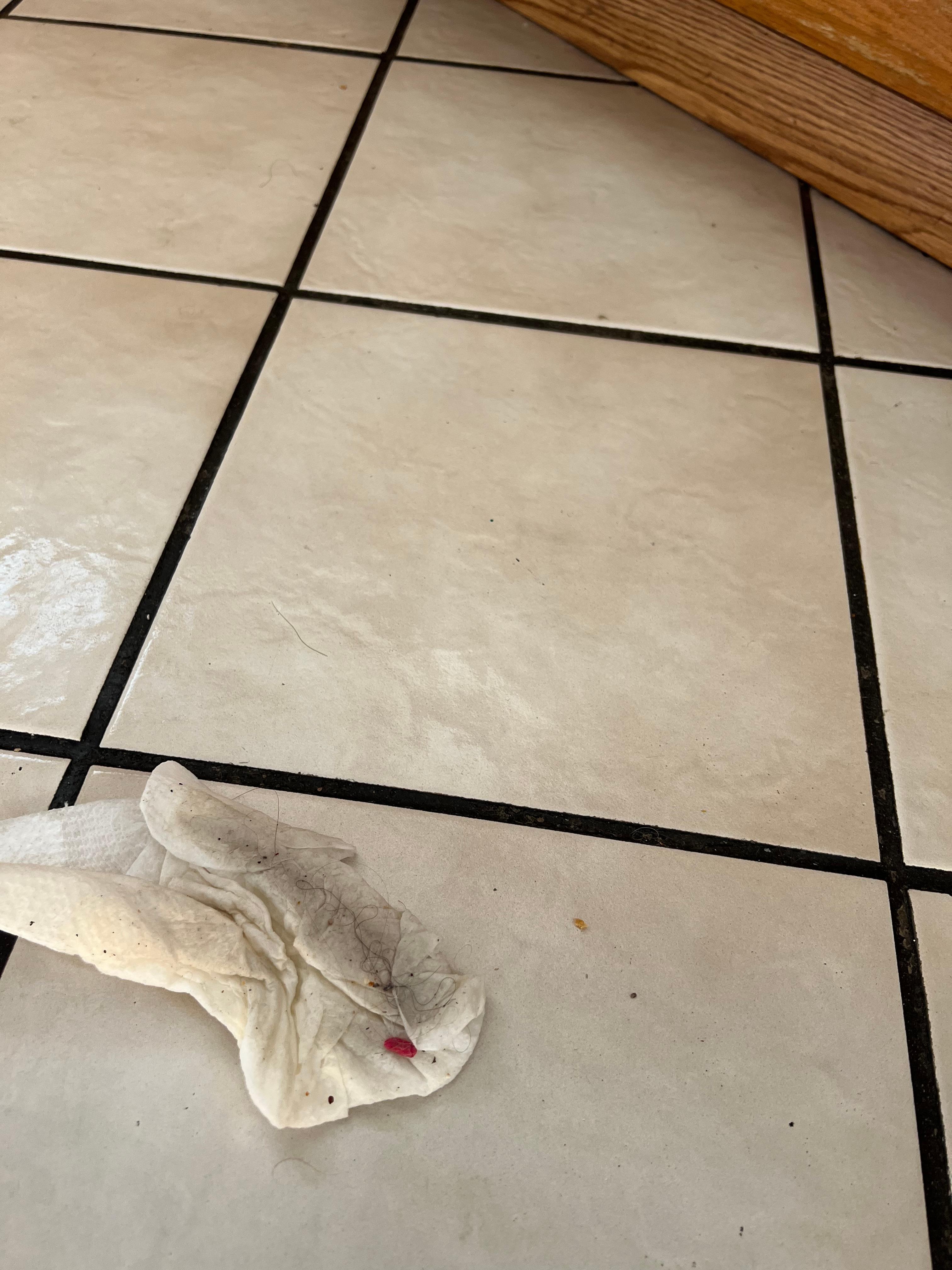 Kitchen floor wiped with paper towel on arrival.
