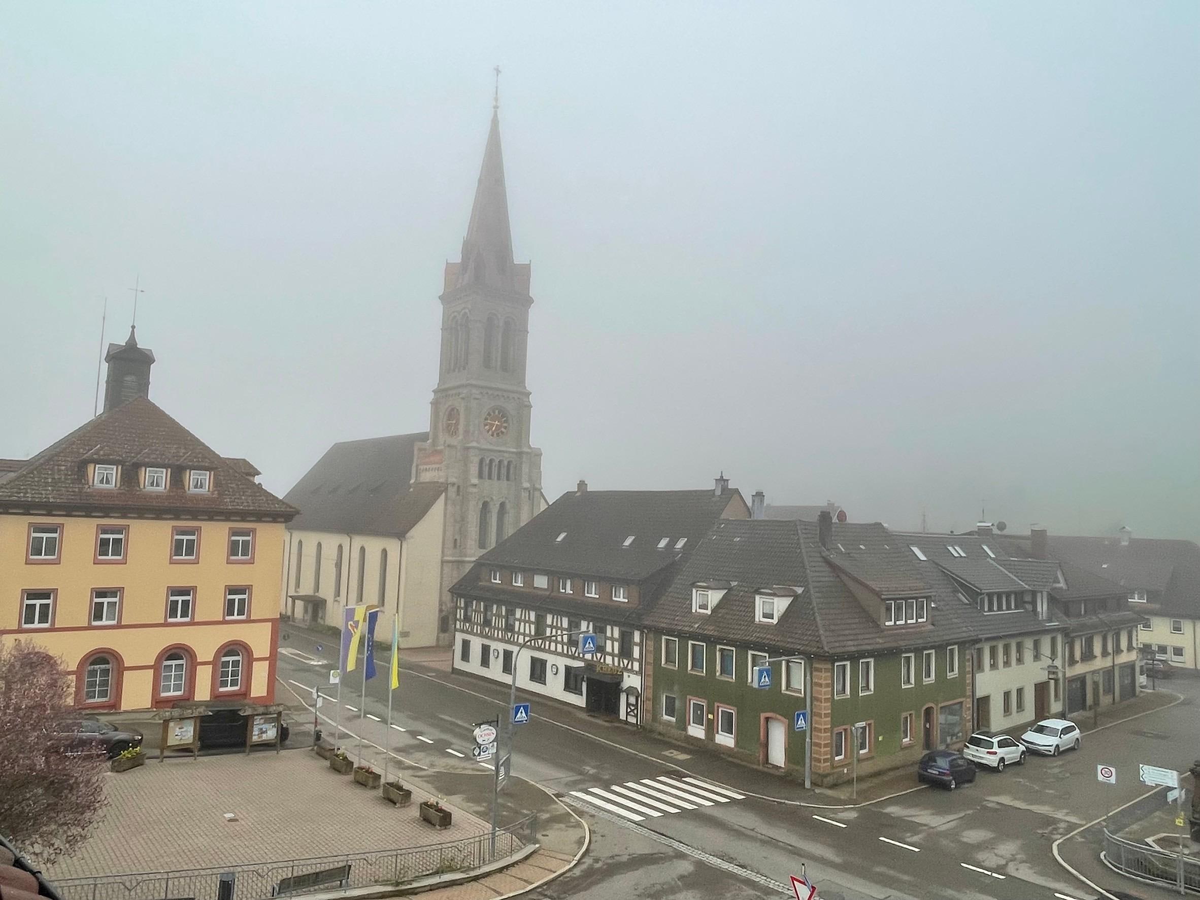 Early morning from my bed room.