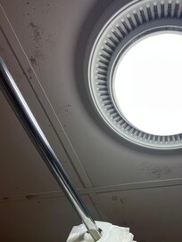 Ceiling mold