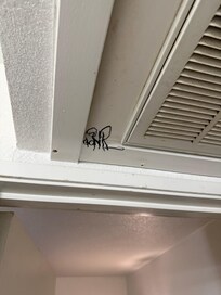 Tagging on the vent