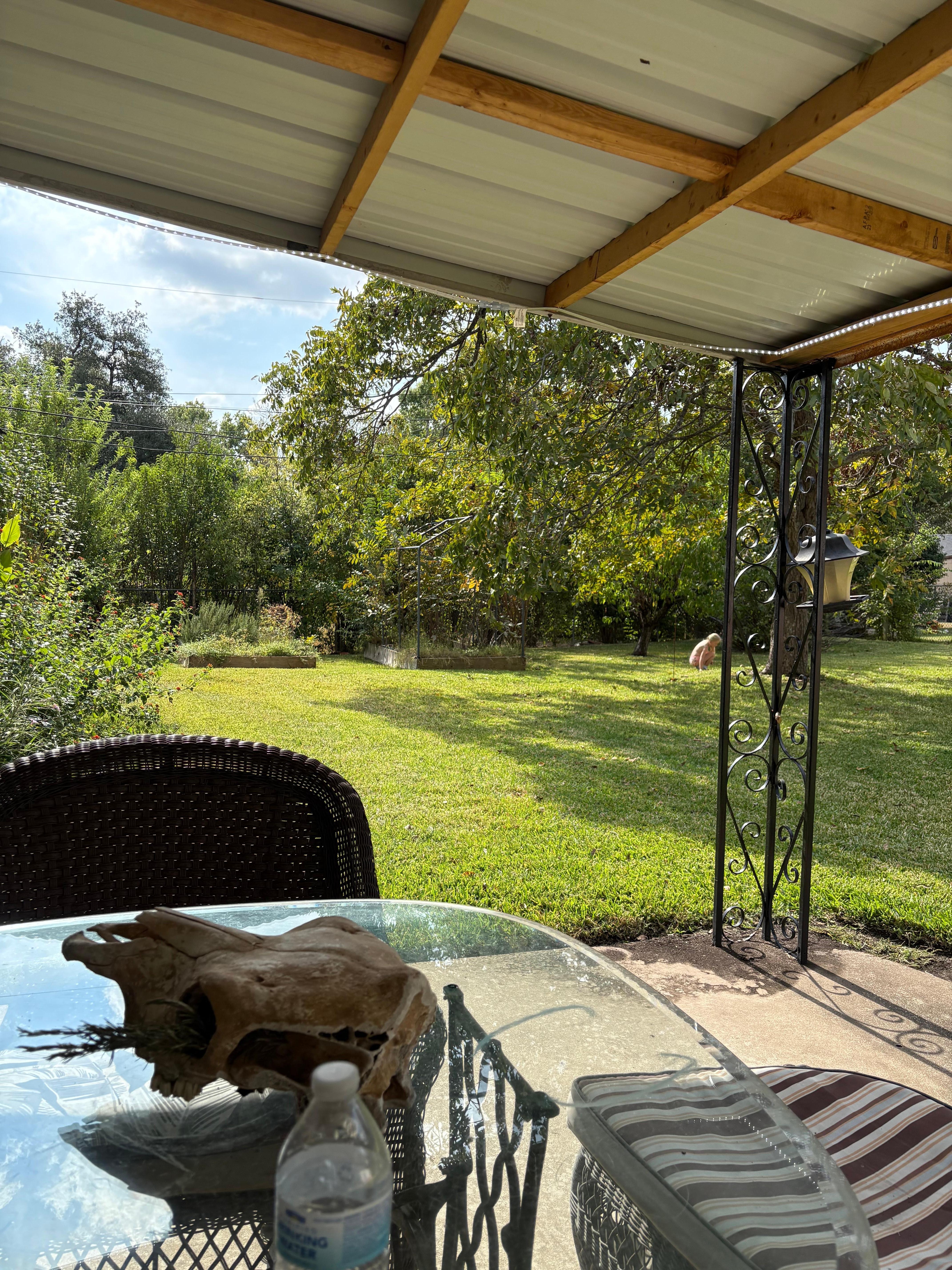 Lovely yard. Our furbaby grand daughter loved it!!! 