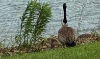 Hiawatha Lake