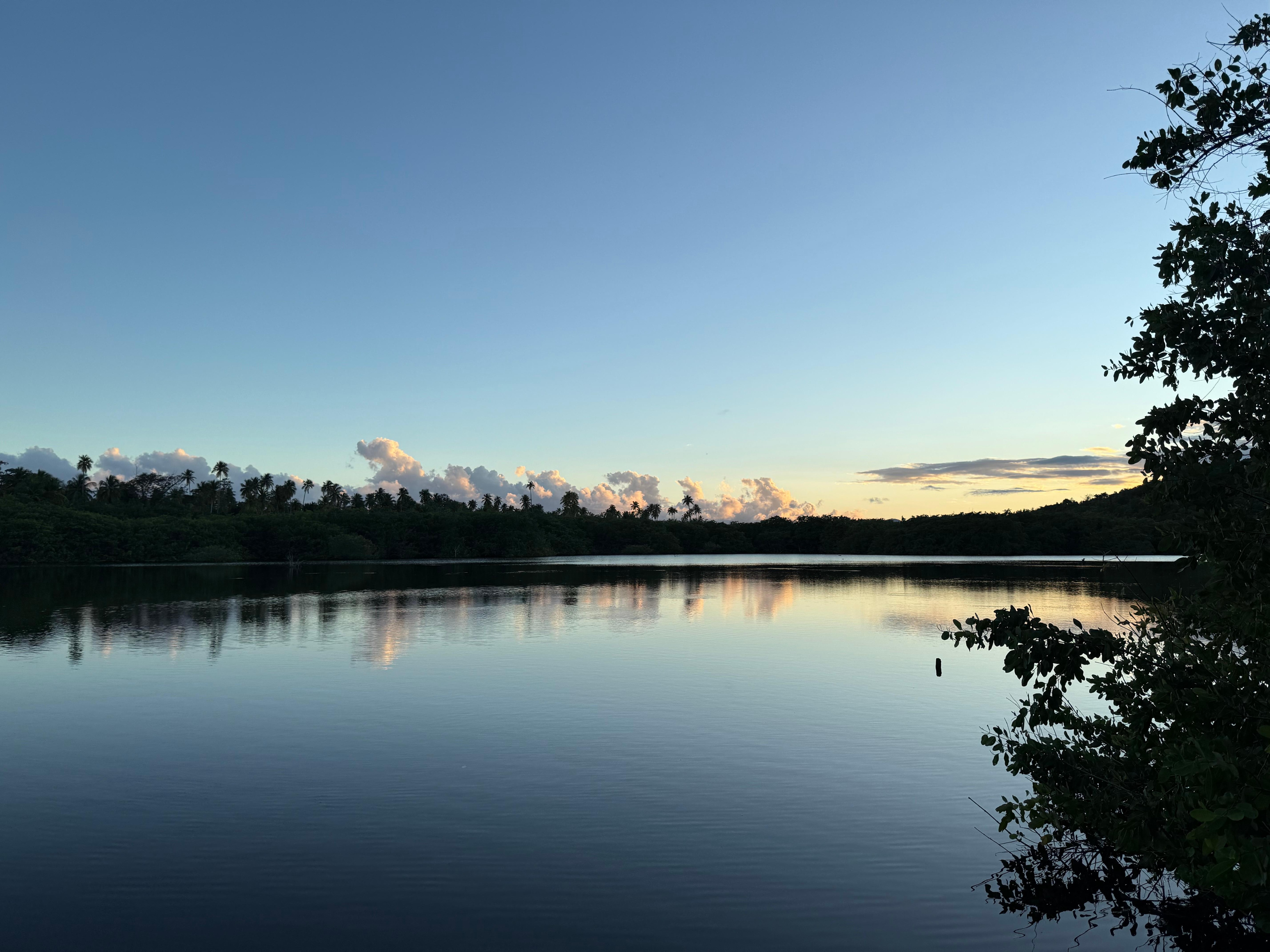 Short walk to Humacao Nature Preserve 