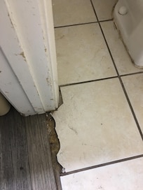 Peeling paint, broken tile. Many more pictures but you get the idea.