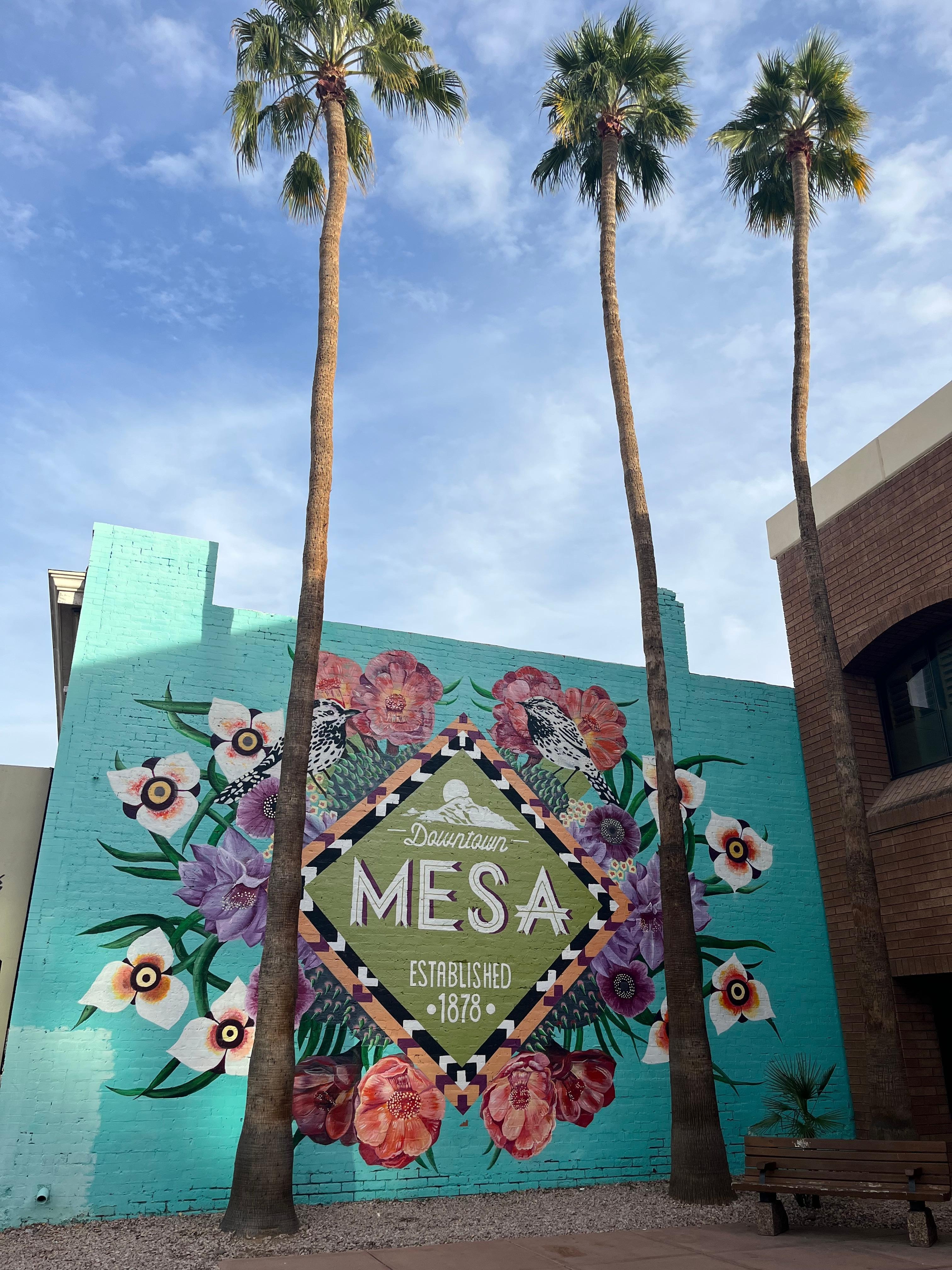 Cute downtown Mesa area where we had some great street tacos and got some Outcast doughnuts to take home for breakfast. 