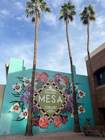 Cute downtown Mesa area where we had some great street tacos and got some Outcast doughnuts to take home for breakfast.