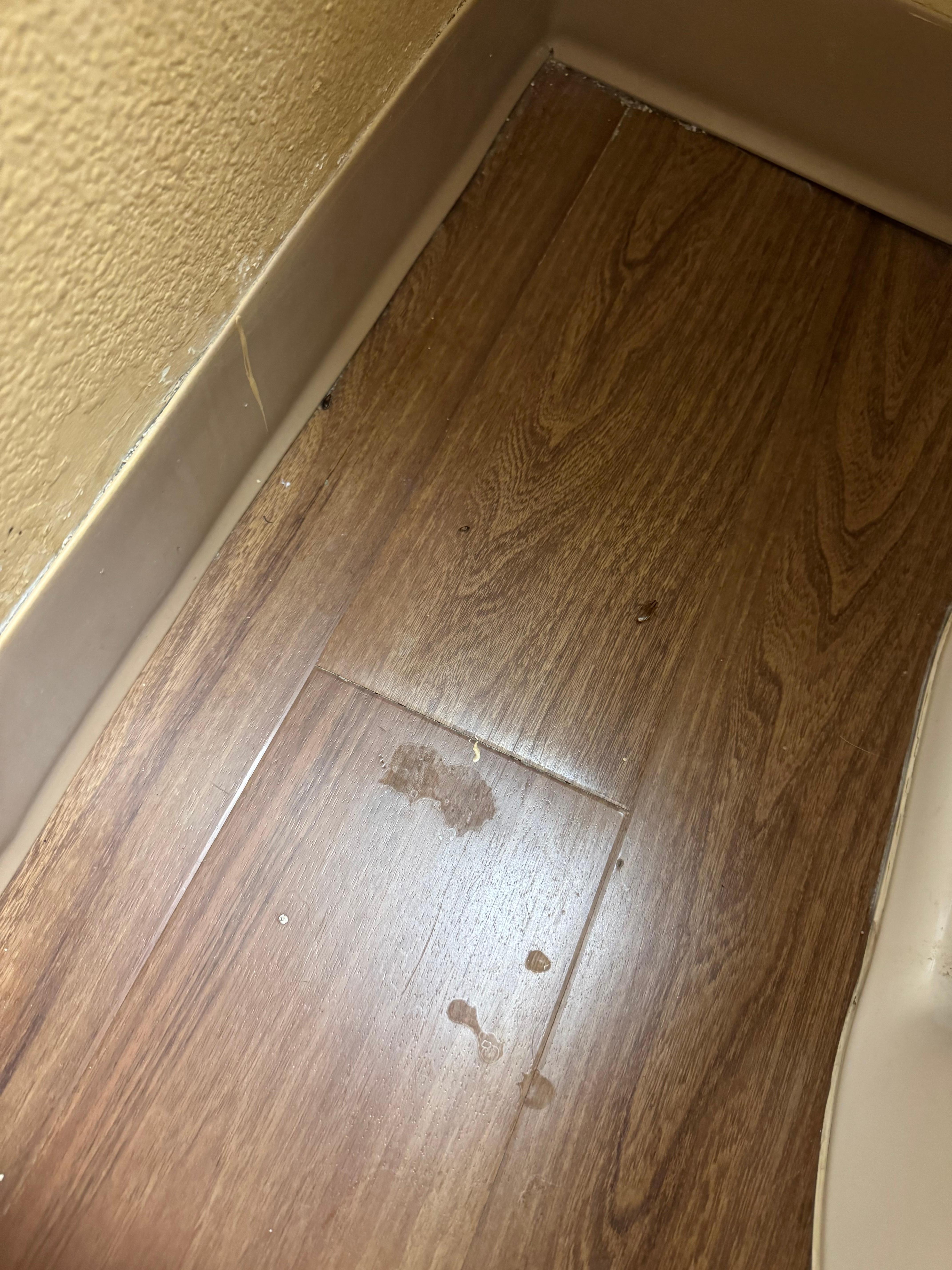 This was near the toilet.