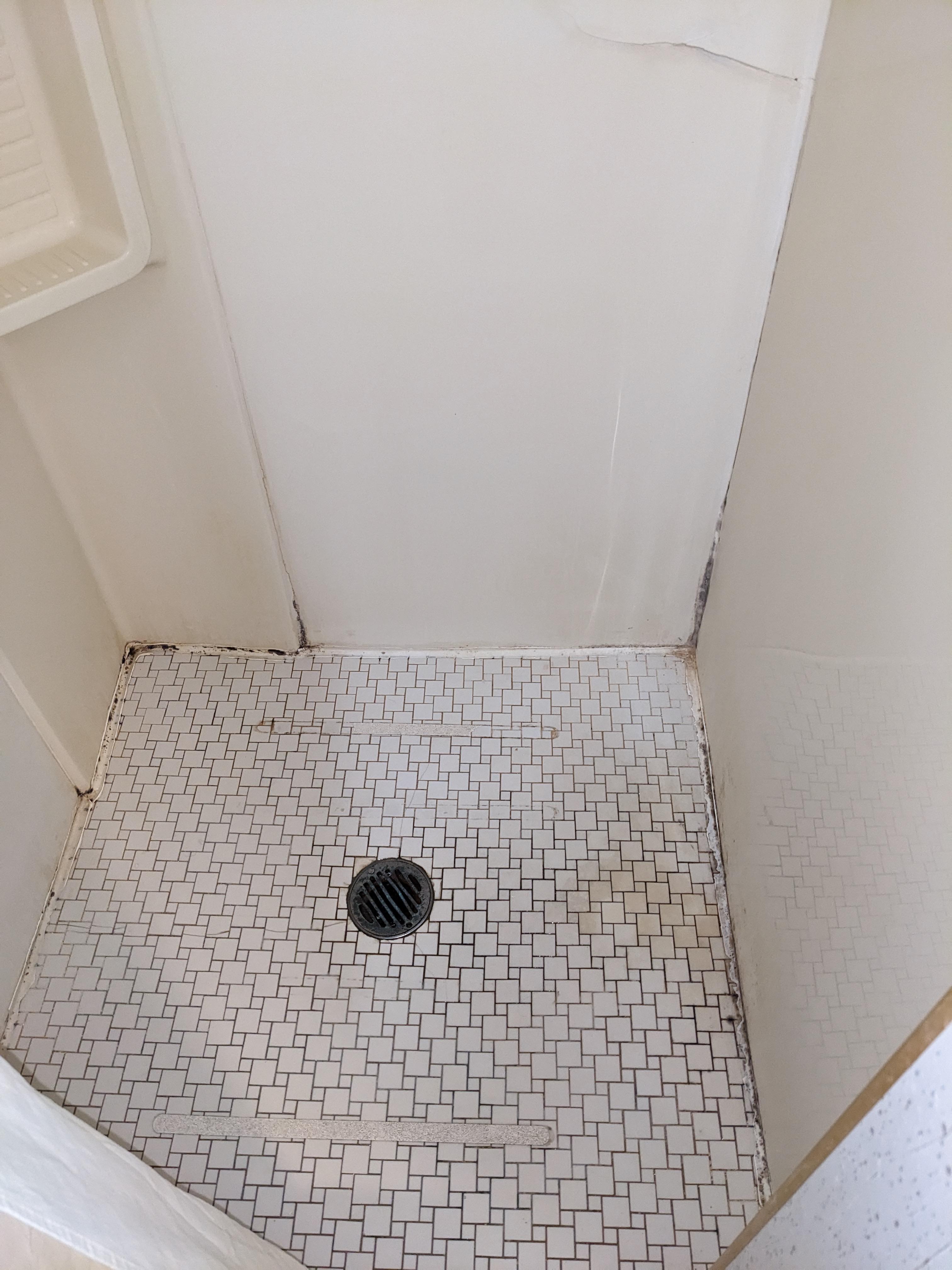 Shower floor