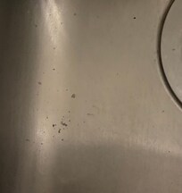 Ice and food particles still in the sink