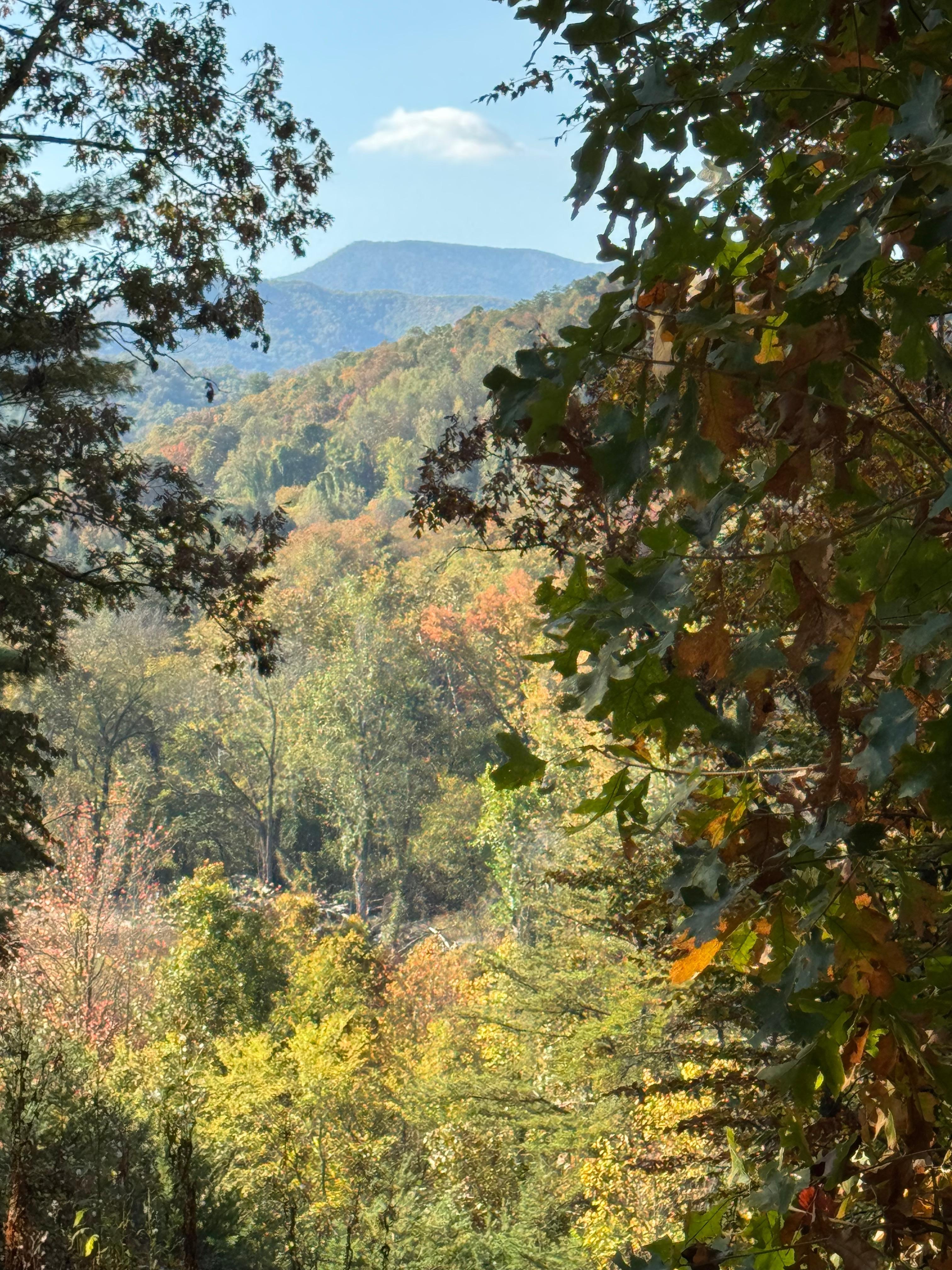 View from the cabin!